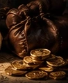 Bolsa de oro
